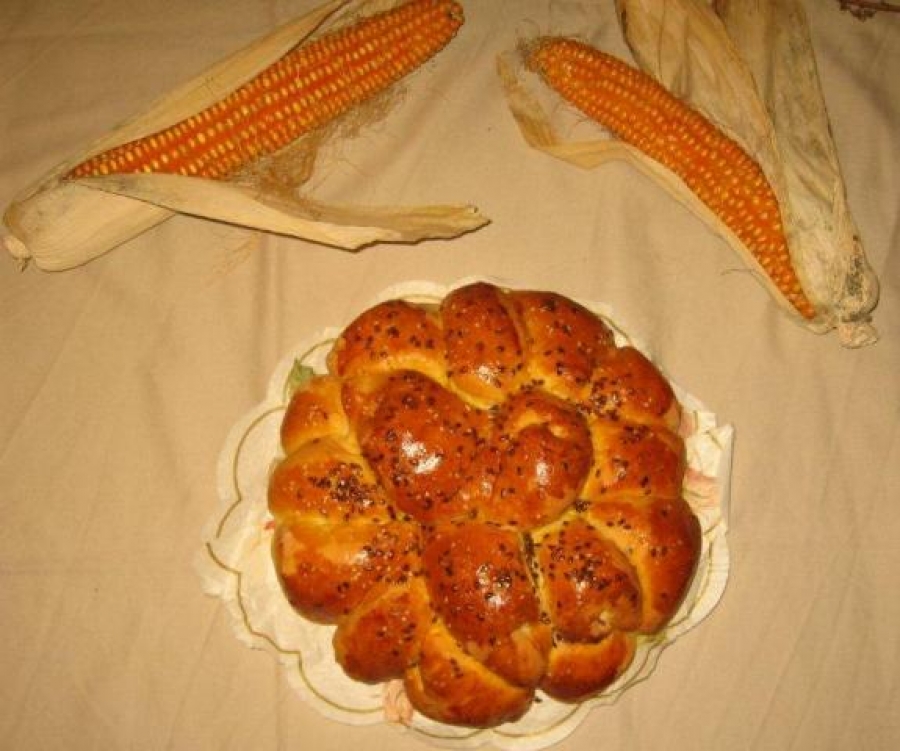 Dani kruha u klasičnoj gimnaziji